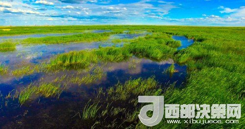 呼倫湖濕地。吳勇攝