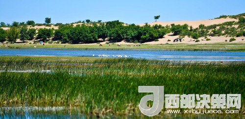 阿魯科爾沁保護區(qū)濕地沙丘。吳勇攝