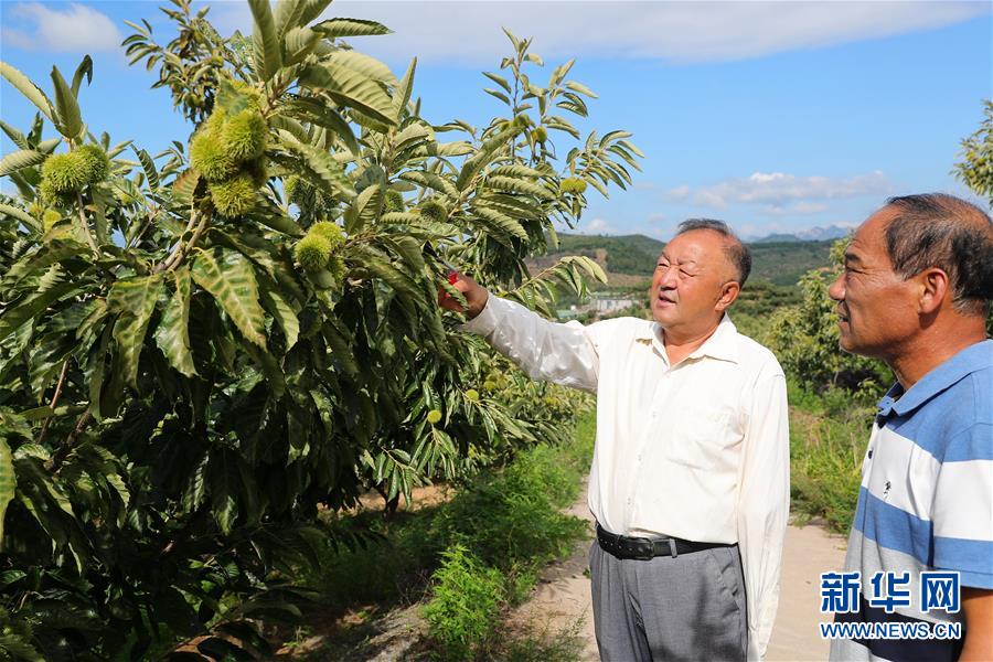 （新華全媒頭條·走向我們的小康生活·圖文互動(dòng)）（11）長城腳下，小康村串成“珍珠鏈”