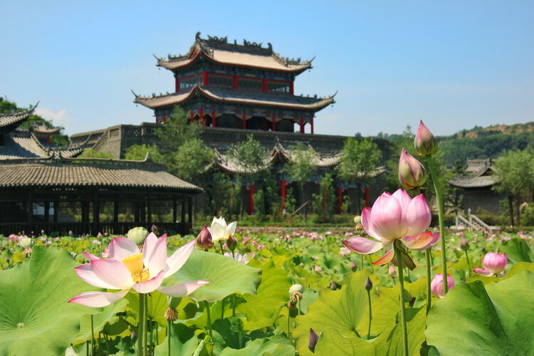 【云游渭南】心中若有桃花源，此處便是水云間！待疫情散盡，一起來渭南桃花源賞美景、觀民俗、享美食_fororder_2